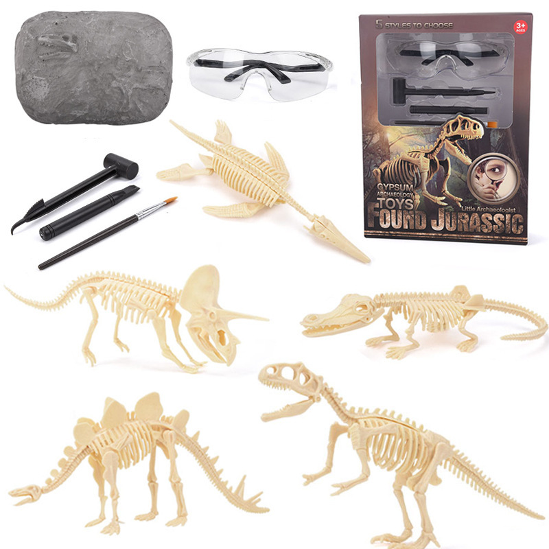 Model Kit Excavator - Dinozor Fosili Kazı Seti STEM Dinozor